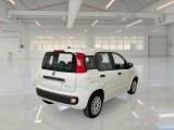  Fiat  Panda FIAT  / 2011 / 5P / BERLINA 1.0 FIREFLY 70CV SeS HYBRID #2