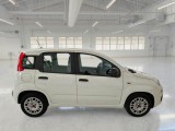  Fiat  Panda FIAT  / 2011 / 5P / BERLINA 1.0 FIREFLY 70CV SeS HYBRID #7