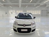  Fiat  Panda FIAT  / 2011 / 5P / BERLINA 1.0 FIREFLY 70CV SeS HYBRID #6