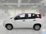  Fiat  Panda FIAT  / 2011 / 5P / BERLINA 1.0 FIREFLY 70CV SeS HYBRID #8