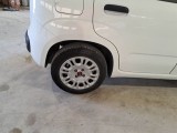  Fiat  Panda FIAT  / 2011 / 5P / BERLINA 1.0 FIREFLY 70CV SeS HYBRID #136