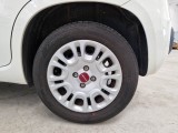  Fiat  Panda FIAT  / 2011 / 5P / BERLINA 1.0 FIREFLY 70CV SeS HYBRID #19