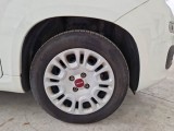  Fiat  Panda FIAT  / 2011 / 5P / BERLINA 1.0 FIREFLY 70CV SeS HYBRID #40
