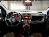  Fiat  Panda FIAT  / 2011 / 5P / BERLINA 1.2 69CV SeS E6D-TEMP EASY #3