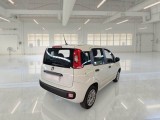  Fiat  Panda FIAT  / 2011 / 5P / BERLINA 1.2 69CV SeS E6D-TEMP EASY #2