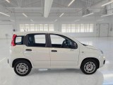  Fiat  Panda FIAT  / 2011 / 5P / BERLINA 1.2 69CV SeS E6D-TEMP EASY #7