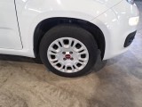  Fiat  Panda FIAT  / 2011 / 5P / BERLINA 1.2 69CV SeS E6D-TEMP EASY #17