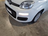  Fiat  Panda FIAT  / 2011 / 5P / BERLINA 1.2 69CV SeS E6D-TEMP EASY #22