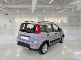  Fiat  Panda FIAT  / 2011 / 5P / BERLINA 1.0 FIREFLY 70CV SeS HYBRID CITY LIFE #2