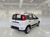 Fiat  Panda FIAT  / 2011 / 5P / BERLINA 1.0 FIREFLY 70CV SeS HYBRID CITY LIFE #2