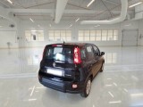  Fiat  Panda FIAT  / 2011 / 5P / BERLINA 1.0 FIREFLY 70CV SeS HYBRID #2