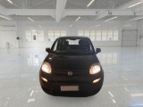  Fiat  Panda FIAT  / 2011 / 5P / BERLINA 1.0 FIREFLY 70CV SeS HYBRID #6