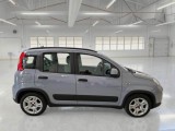  Fiat  Panda FIAT  / 2011 / 5P / BERLINA 1.0 FIREFLY 70CV SeS HYBRID CITY LIFE #7