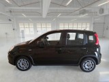  Fiat  Panda FIAT  / 2011 / 5P / BERLINA 1.0 FIREFLY 70CV SeS HYBRID #8