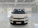  Fiat  Panda FIAT  / 2011 / 5P / BERLINA 1.0 FIREFLY 70CV SeS HYBRID CITY LIFE #6