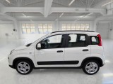  Fiat  Panda FIAT  / 2011 / 5P / BERLINA 1.0 FIREFLY 70CV SeS HYBRID CITY LIFE #8
