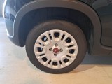  Fiat  Panda FIAT  / 2011 / 5P / BERLINA 1.0 FIREFLY 70CV SeS HYBRID #18