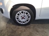  Fiat  Panda FIAT  / 2011 / 5P / BERLINA 1.2 69CV SeS E6D-TEMP EASY #51