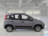  Fiat  Panda FIAT  / 2011 / 5P / BERLINA 1.0 FIREFLY 70CV SeS HYBRID CITY LIFE #7
