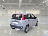  Fiat  Panda FIAT  / 2011 / 5P / BERLINA 1.2 69CV SeS E6D-TEMP EASY #2