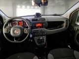  Fiat  Panda FIAT  / 2011 / 5P / BERLINA 1.3 MJT 95CV SeS E6 4X4 #3