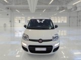  Fiat  Panda FIAT  / 2011 / 5P / BERLINA 1.2 69CV SeS E6D-TEMP EASY #6