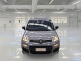  Fiat  Panda FIAT  / 2011 / 5P / BERLINA 1.2 69CV SeS E6D-TEMP EASY #6