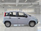  Fiat  Panda FIAT  / 2011 / 5P / BERLINA 1.2 69CV SeS E6D-TEMP EASY #7