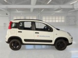  Fiat  Panda FIAT  / 2011 / 5P / BERLINA 1.3 MJT 95CV SeS E6 4X4 #8