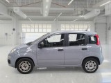  Fiat  Panda FIAT  / 2011 / 5P / BERLINA 1.2 69CV SeS E6D-TEMP EASY #8