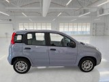  Fiat  Panda FIAT  / 2011 / 5P / BERLINA 1.2 69CV SeS E6D-TEMP EASY #7