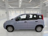  Fiat  Panda FIAT  / 2011 / 5P / BERLINA 1.2 69CV SeS E6D-TEMP EASY #8