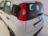  Fiat  Panda FIAT  / 2011 / 5P / BERLINA 1.3 MJT 95CV SeS E6 4X4 #59
