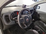 Fiat  Panda FIAT  / 2011 / 5P / BERLINA 1.3 MJT 95CV SeS E6 4X4 #97
