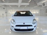  Fiat  Punto FIAT  / 2011 / 5P / BERLINA 1.3 MULTIJET STREET 95CV SeS EU6 #6