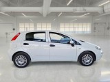  Fiat  Punto FIAT  / 2011 / 5P / BERLINA 1.3 MULTIJET STREET 95CV SeS EU6 #7
