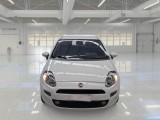  Fiat  Punto FIAT  2013 5 PORTE BERLINA 1.3 MULTIJET II STREET 75CV DPF EU5+ #6