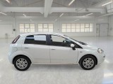  Fiat  Punto FIAT  2013 5 PORTE BERLINA 1.3 MULTIJET II STREET 75CV DPF EU5+ #7