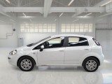  Fiat  Punto FIAT  2013 5 PORTE BERLINA 1.3 MULTIJET II STREET 75CV DPF EU5+ #8
