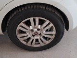  Fiat  Punto FIAT  2013 5 PORTE BERLINA 1.3 MULTIJET II STREET 75CV DPF EU5+ #65