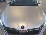  Skoda  Octavia SKODA  WAGON / 2020 / 5P / STATION WAGON 2.0 TDI EVO 110KW EXECUTIVE DSG #27