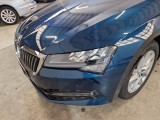  Skoda  Superb SKODA  WAGON / 2019 / 5P / STATION WAGON 2.0 TDI EVO 110KW EXECUTIVE DSG #22