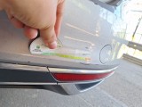  Volkswagen  Passat VOLKSWAGEN  / 2019 / 5P / STATION WAGON VAR.2.0 TDI SCR EVO 110KW EXEC. BMT DSG #64